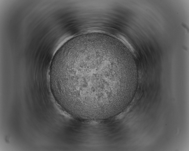 X0000091180814200709060952