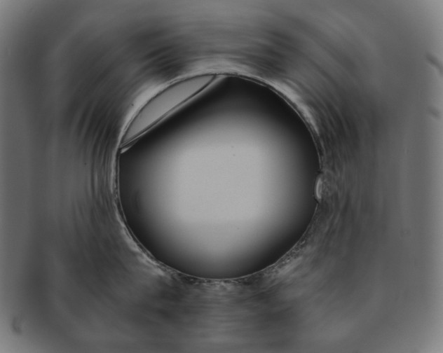 X0000091180815200709060952