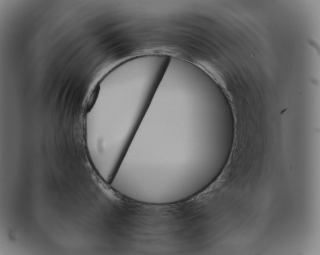 X0000091180816200709060952
