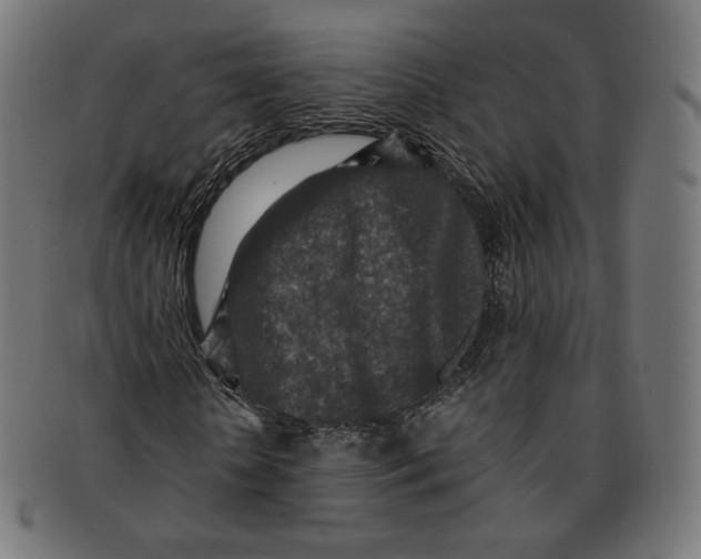 X0000091180818200709060952