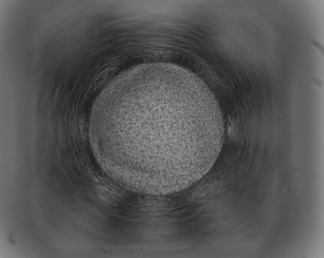 X0000091180819200709060952