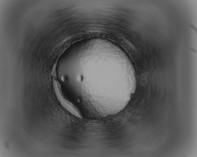 X0000091180821200709060952