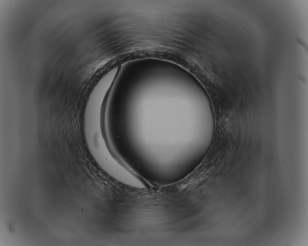 X0000091180822200709060952