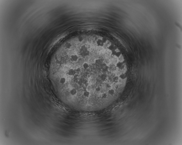 X0000091180823200709060952
