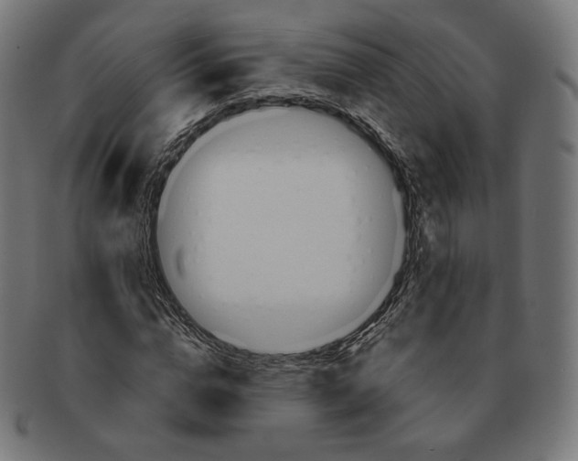 X0000091180824200709060952