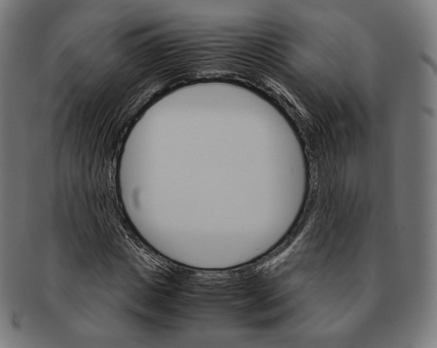 X0000091180825200709060952