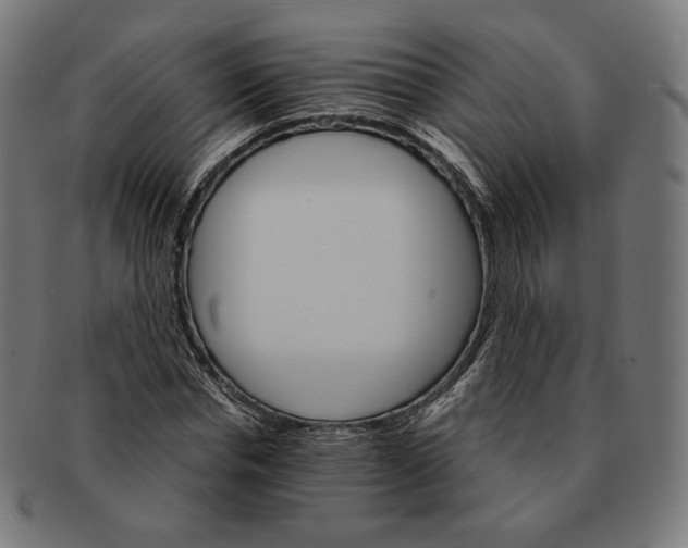 X0000091180826200709060952