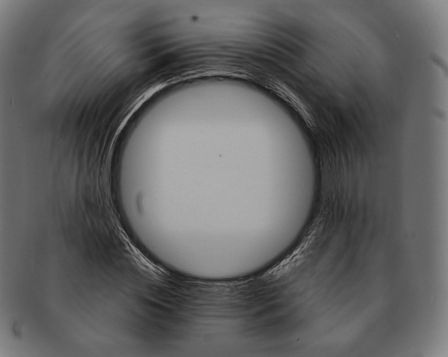 X0000091180828200709060952