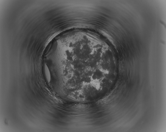X0000091180829200709060952