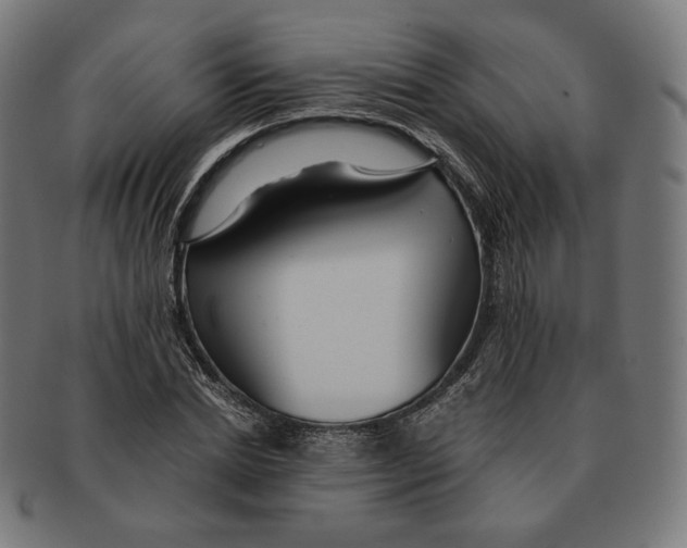 X0000091180830200709060952