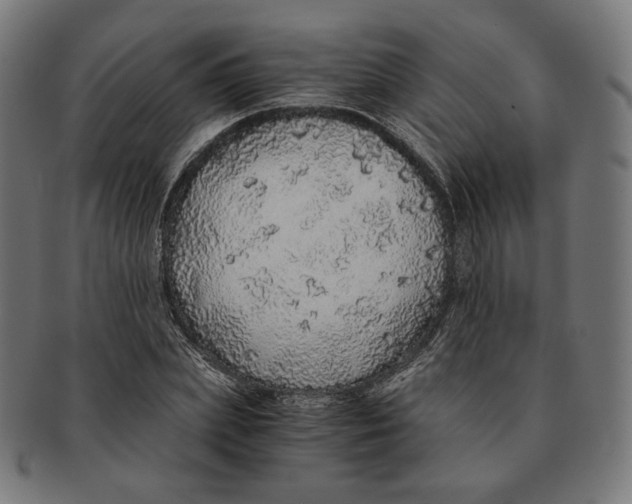 X0000091180831200709060952