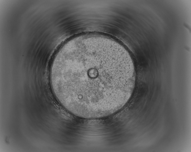 X0000091180832200709060952