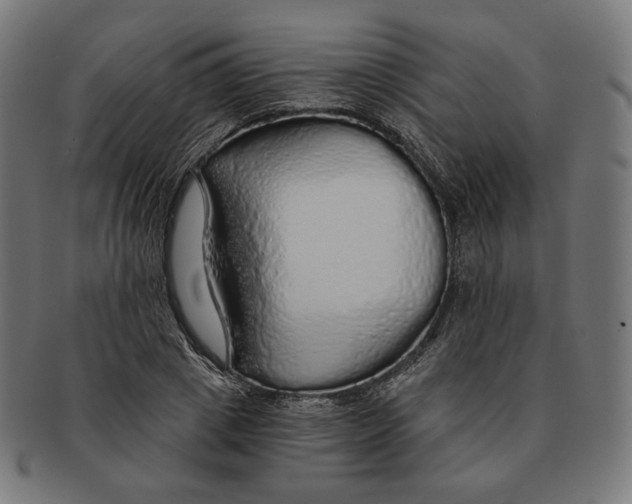 X0000091180833200709060952