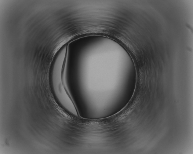 X0000091180834200709060952