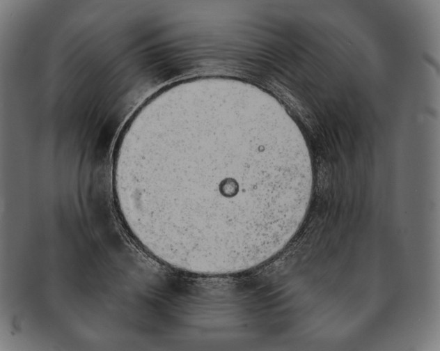X0000091180836200709060952