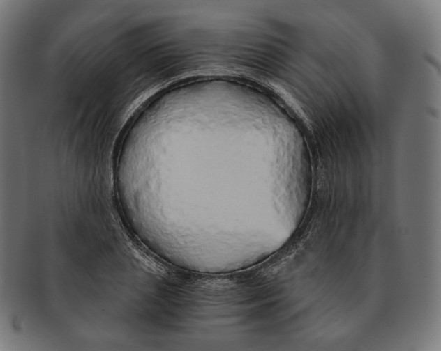 X0000091180837200709060952