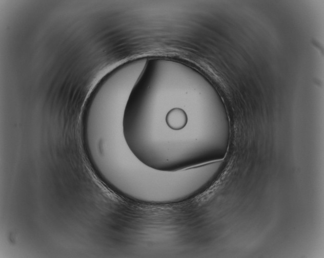 X0000091180838200709060952