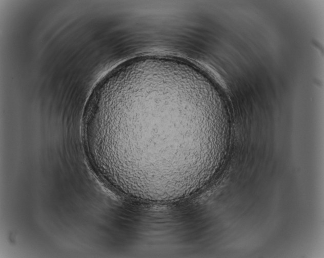 X0000091180839200709060952