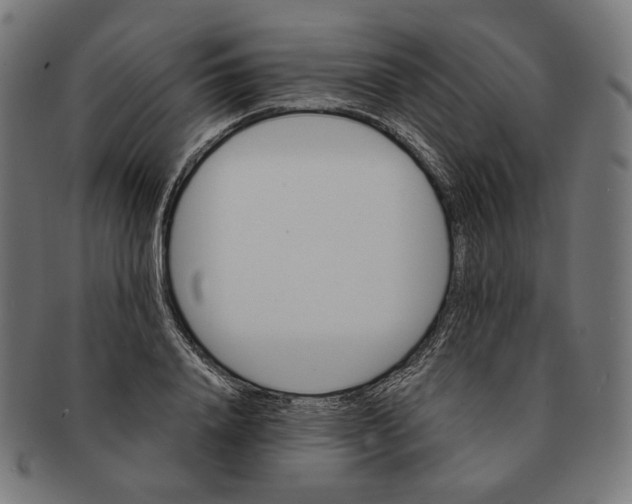 X0000091180840200709060952