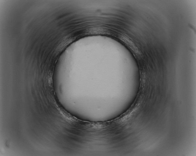 X0000091180841200709060952
