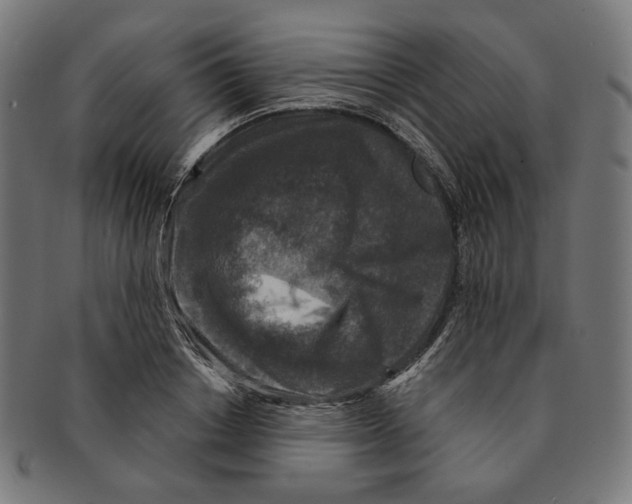 X0000091180842200709060952