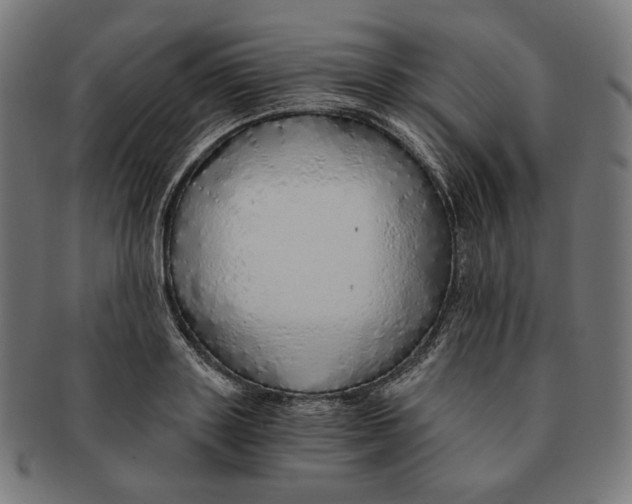 X0000091180843200709060952