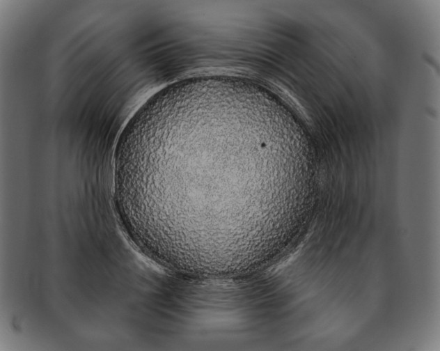 X0000091180844200709060952