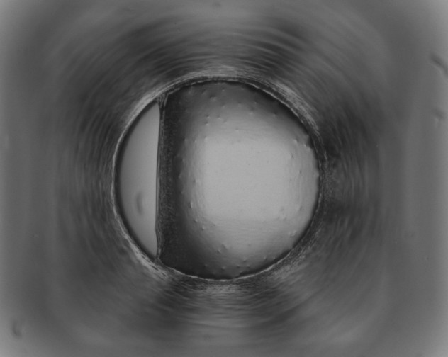 X0000091180845200709060952