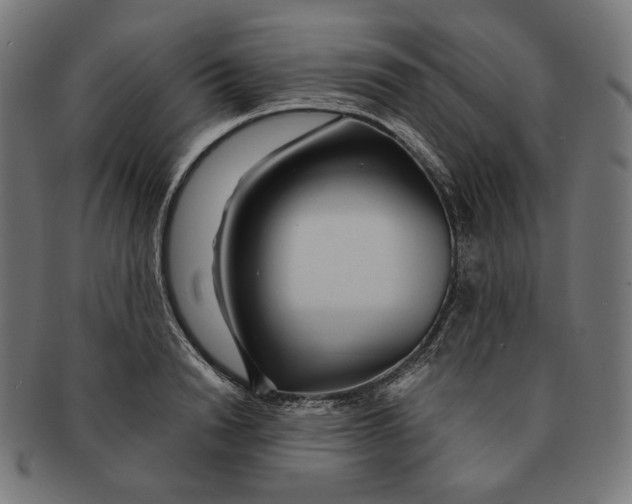 X0000091180846200709060952