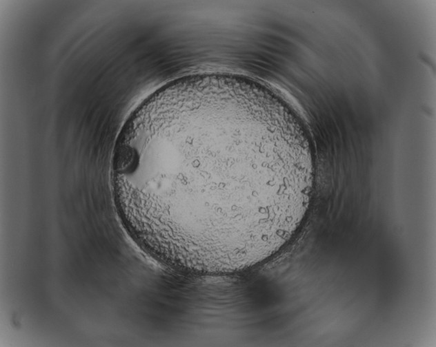 X0000091180847200709060952