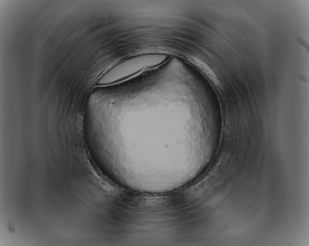 X0000091180849200709060952
