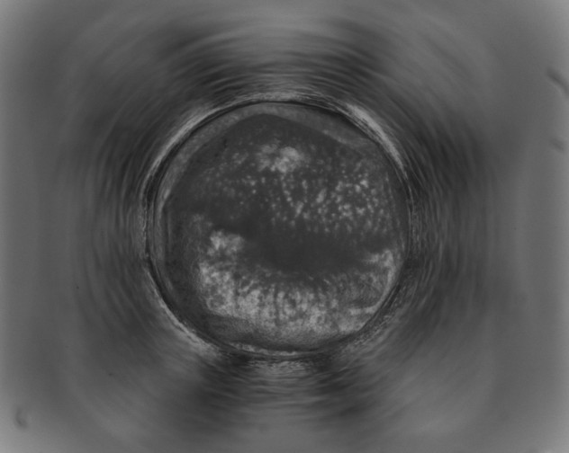 X0000091180851200709060952