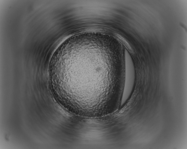 X0000091180852200709060952