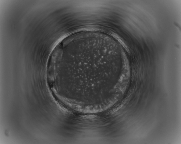 X0000091180853200709060952