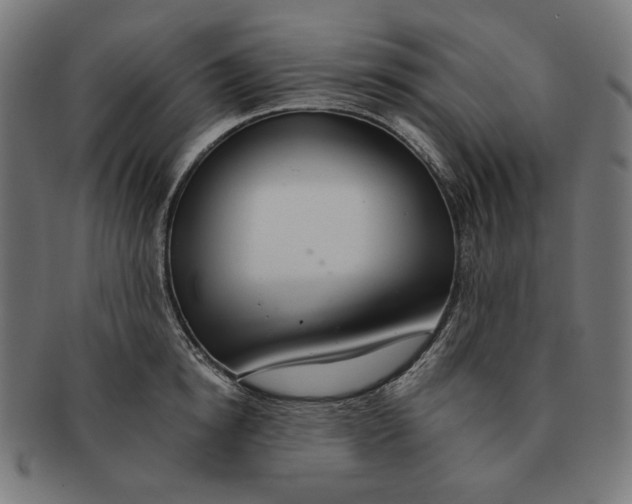 X0000091180854200709060952