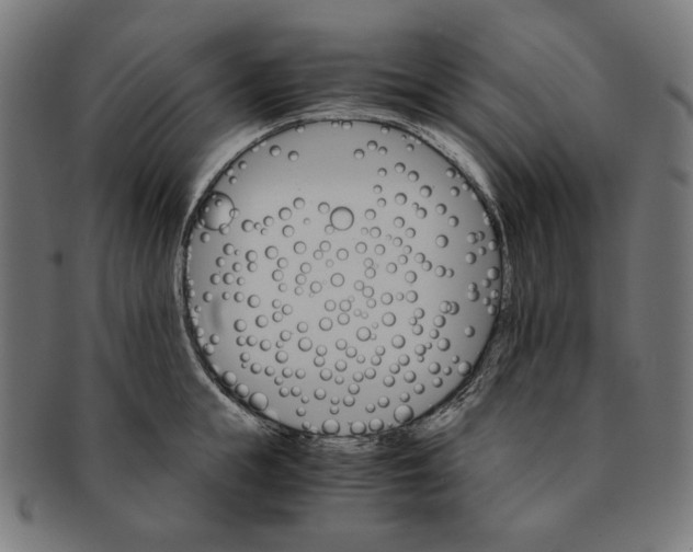 X0000091180855200709060952