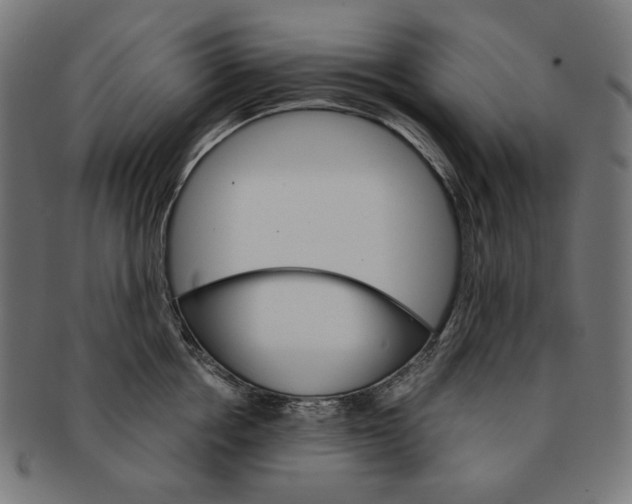 X0000091180858200709060952
