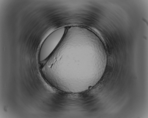 X0000091180859200709060952