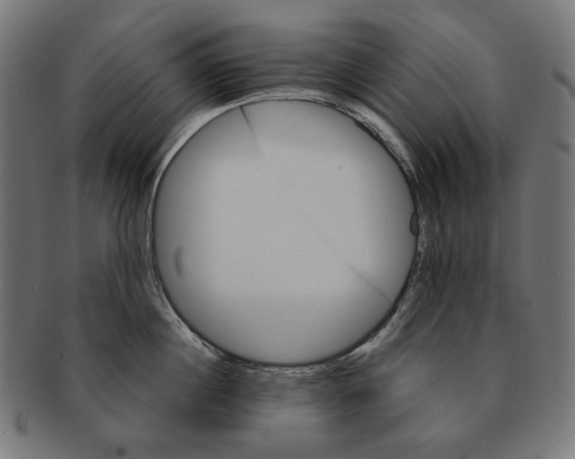 X0000091180860200709060952