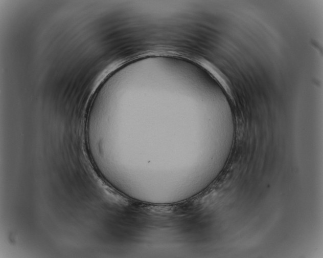 X0000091180861200709060952