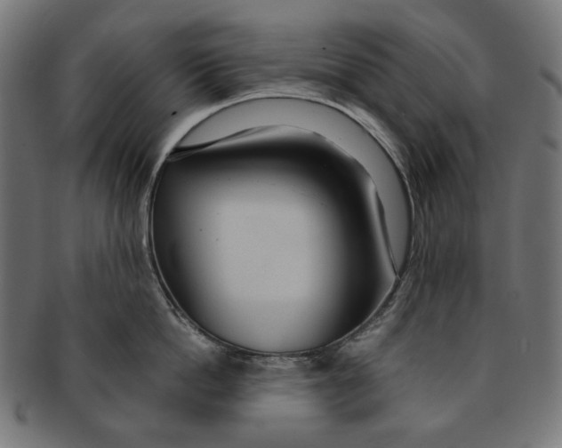 X0000091180862200709060952