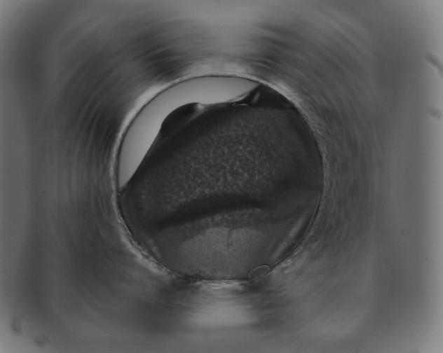 X0000091180864200709060952