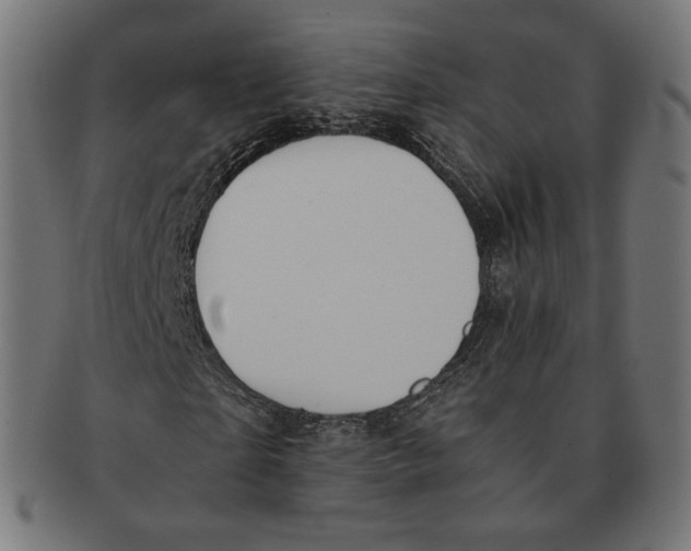 X0000091180865200709060952