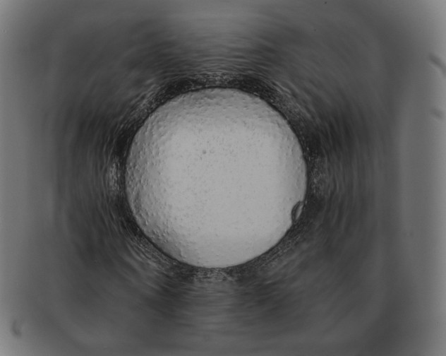 X0000091180866200709060952