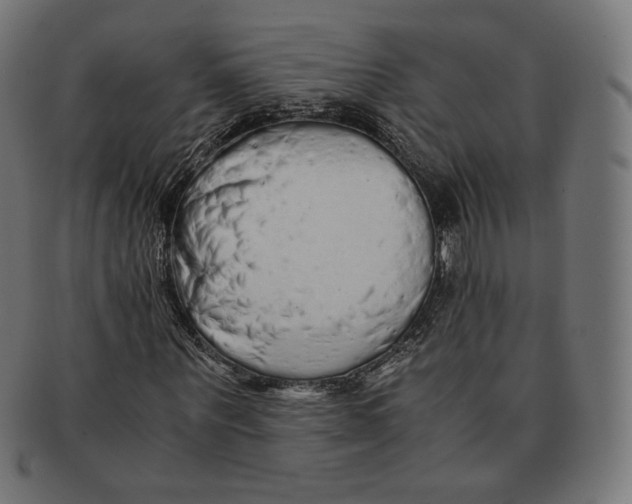 X0000091180867200709060952