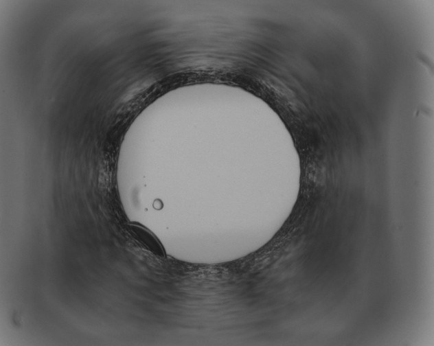X0000091180869200709060952