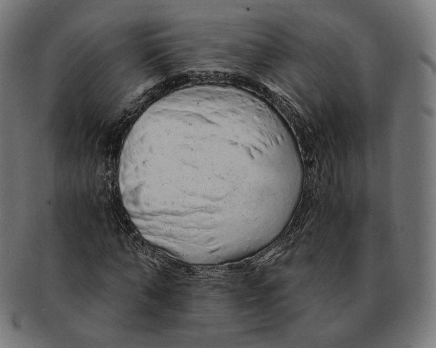 X0000091180870200709060952