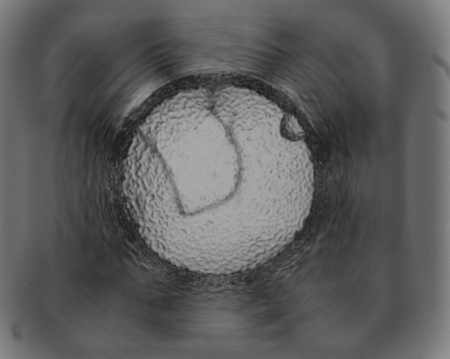 X0000091180871200709060952