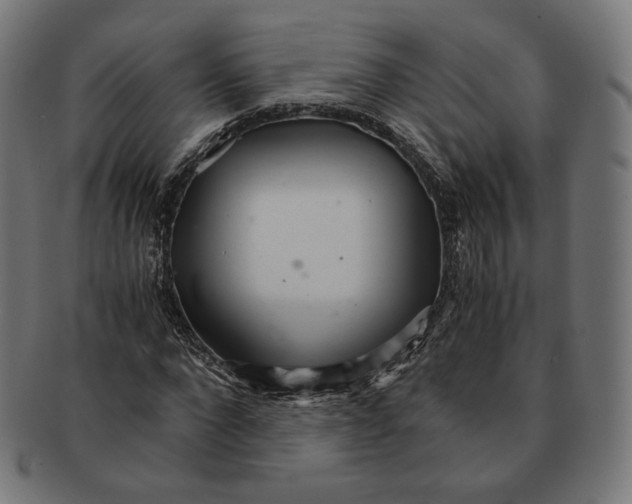 X0000091180872200709060952
