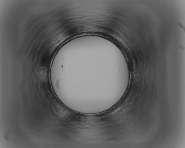 X0000091180873200709060951